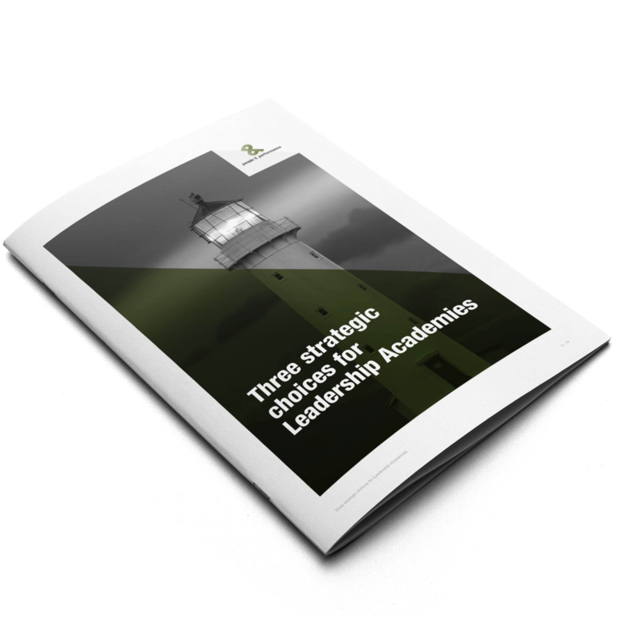 WP_3 strategic choices