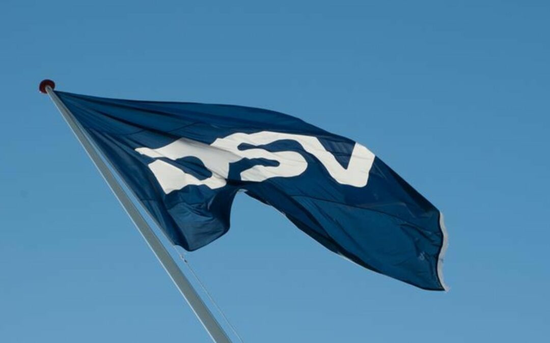 DiSC giver et fælles sprog og et indblik i adfærd og præferencer hos DSV