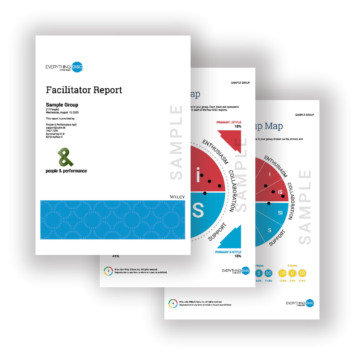 Everything DiSC Facilitator Report