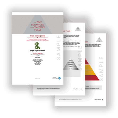 The Five Behaviors of a Cohesive Team