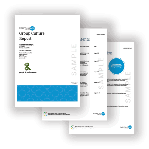 Everything DiSC Group Culture Report