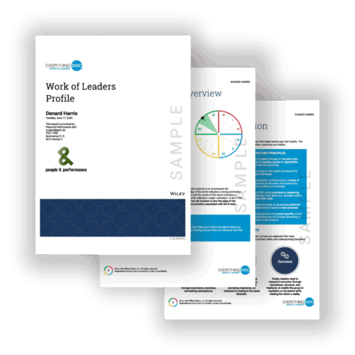 Everything DiSC Work of Leaders