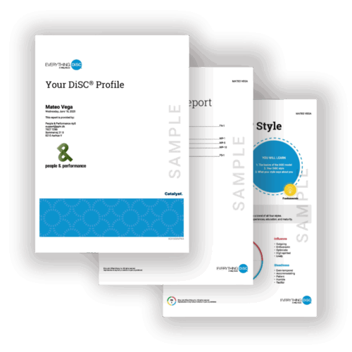 Everything DiSC Workplace, Catalyst