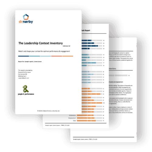 The LCI-I – The Leadership Context Inventory – Individual, full report