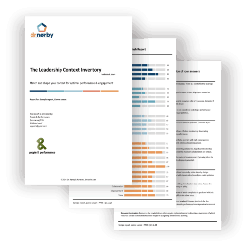 The LCI-I – The Leadership Context Inventory – Individual, short report